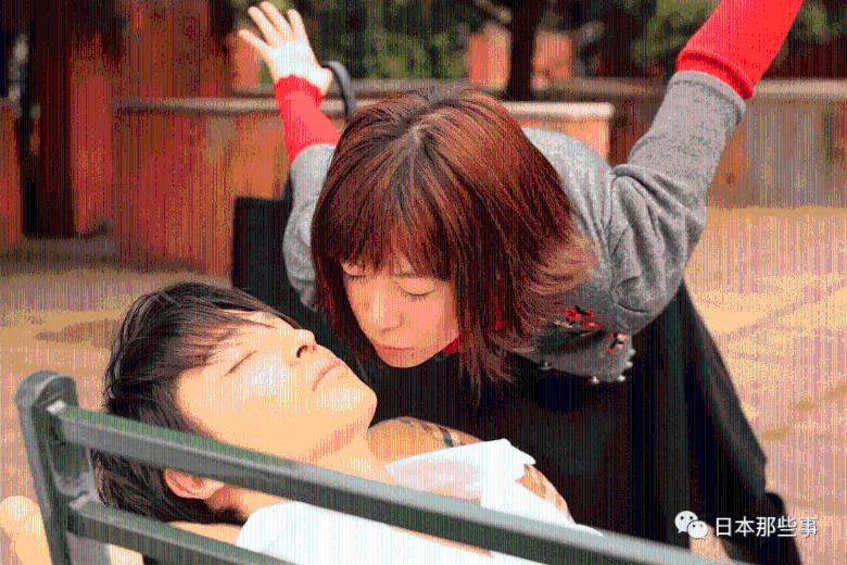 盐和避难所